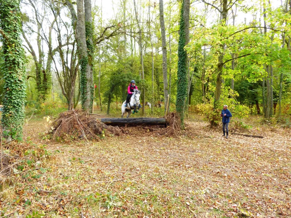 Stage-cross